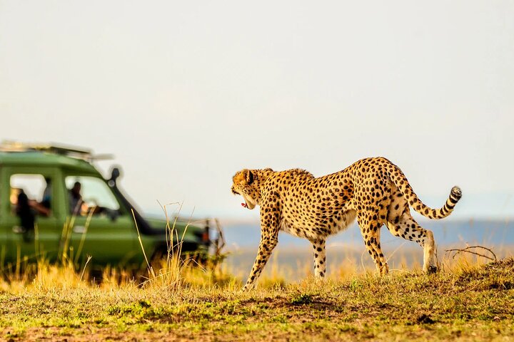 Best tours in Arusha